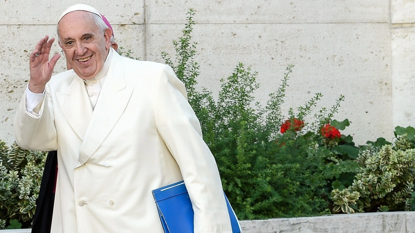 Papa Francesco (Afp)