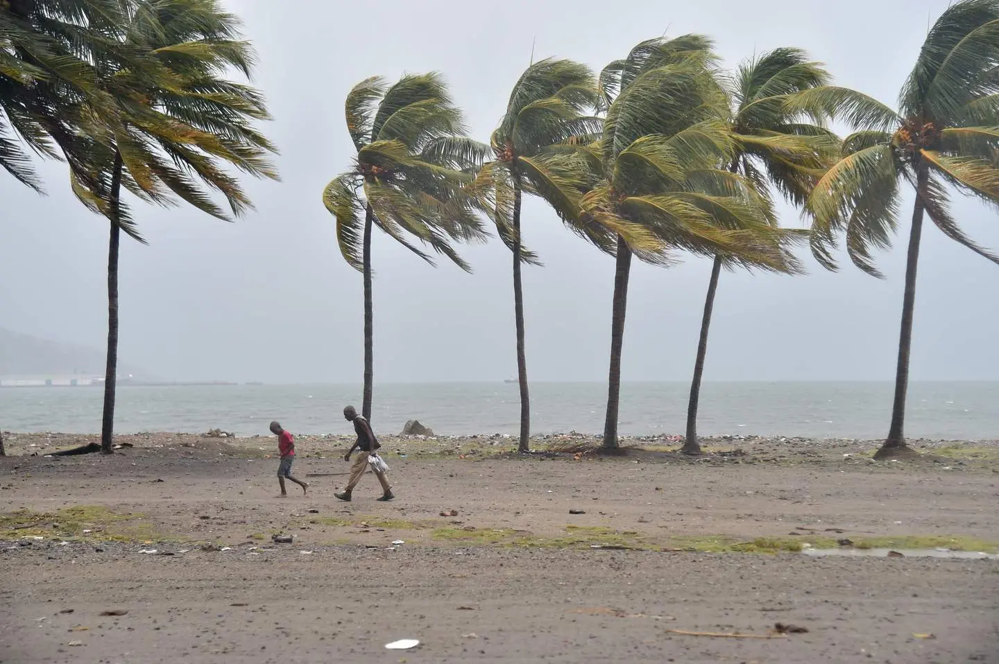 Uragano Irma, tocca a Cuba e Florida. Protezione civile: "Devasterà gli Usa"