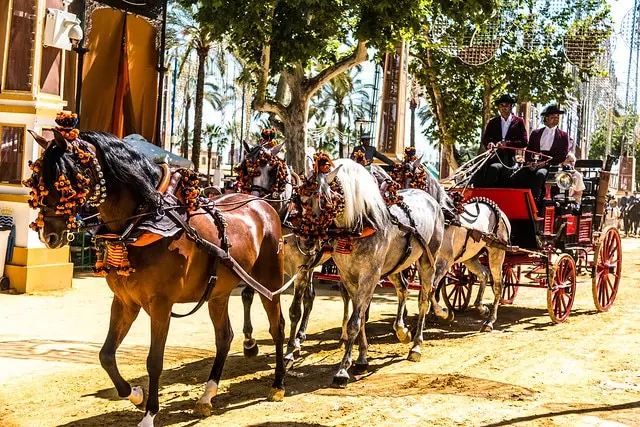 Jerez de la Frontera, la città dei cavalli e dello Sherry