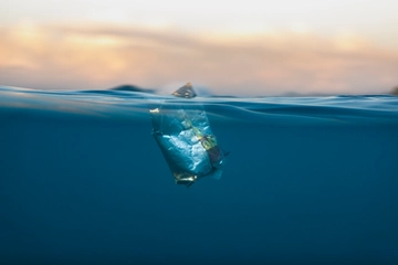 L’8 giugno è la Giornata mondiale degli Oceani