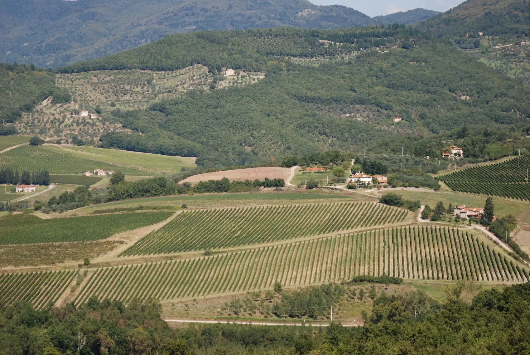 Chianti Rufina Docg, il Sangiovese di montagna orgoglio d'Appennino