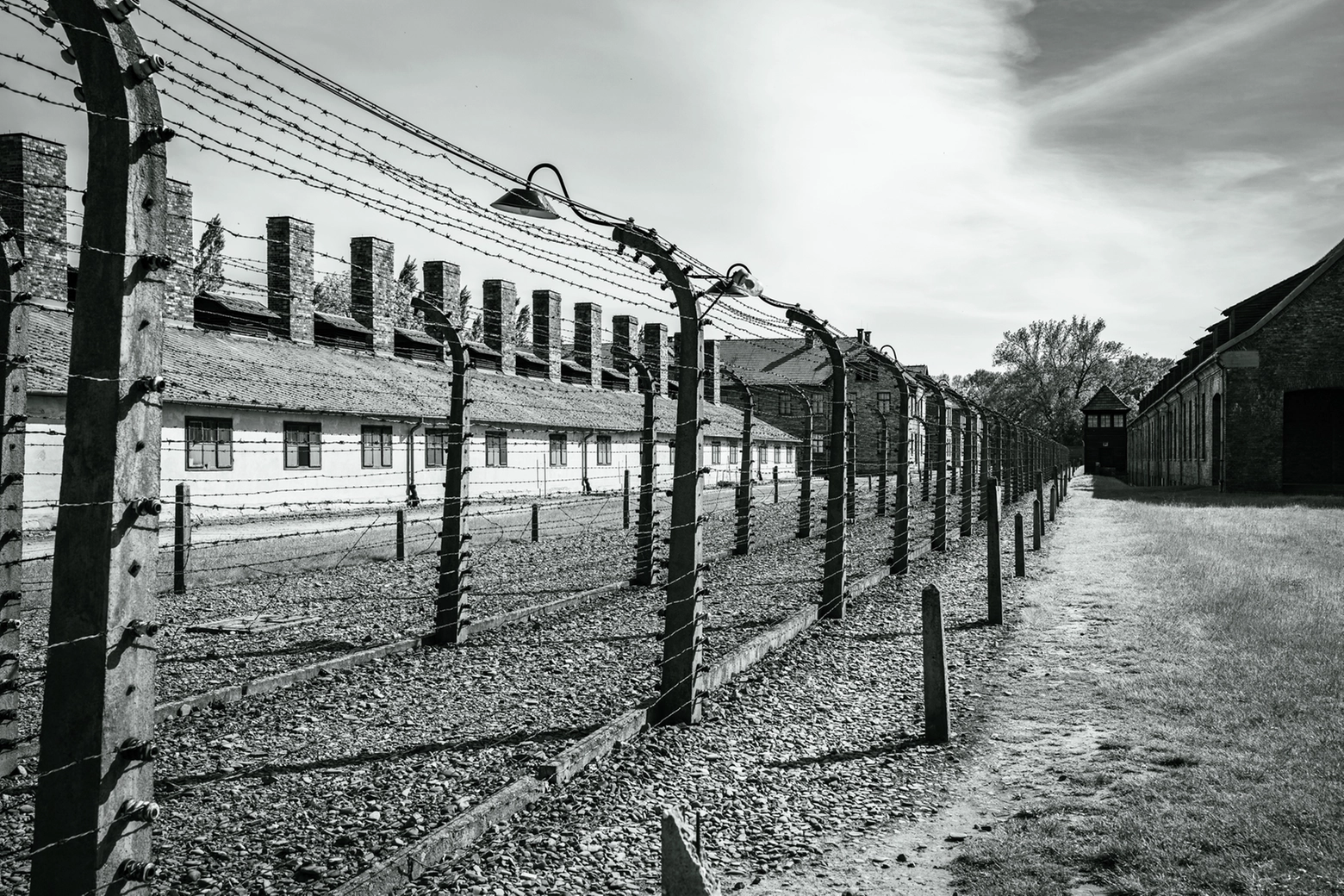 Campo di concentramento di Auschwitz, Giornata della Memoria (Crediti iStock Photo)