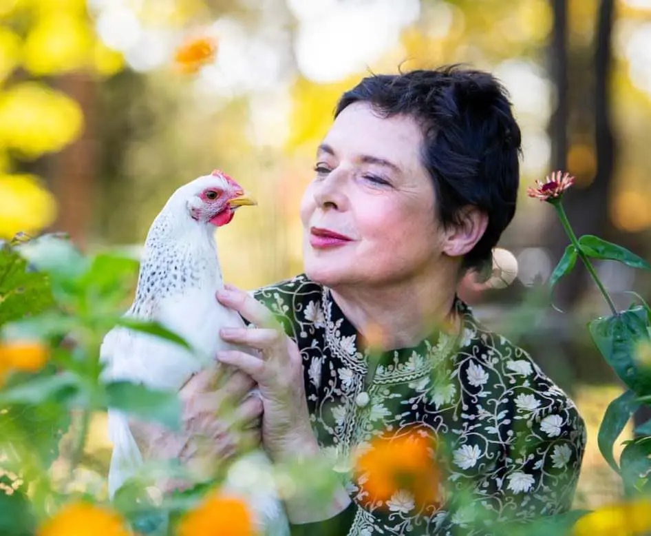 Isabella Rossellini: "Vecchia, ma mai così felice"