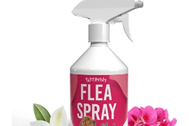 Spray antiparassitario su amazon.it