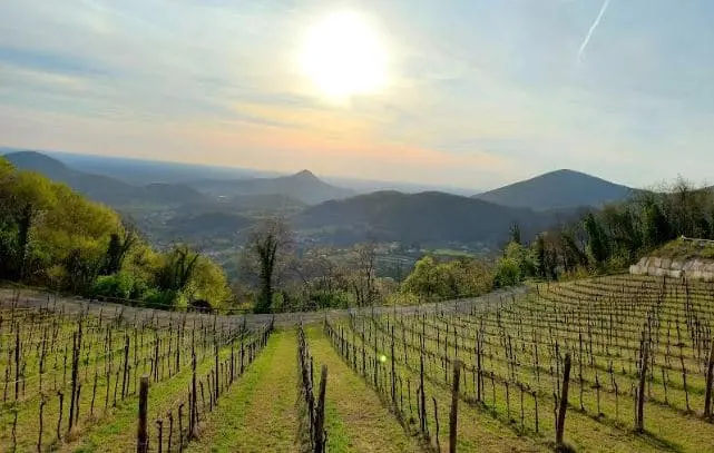 Le terme e i Colli Euganei, una vacanza a 360 gradi