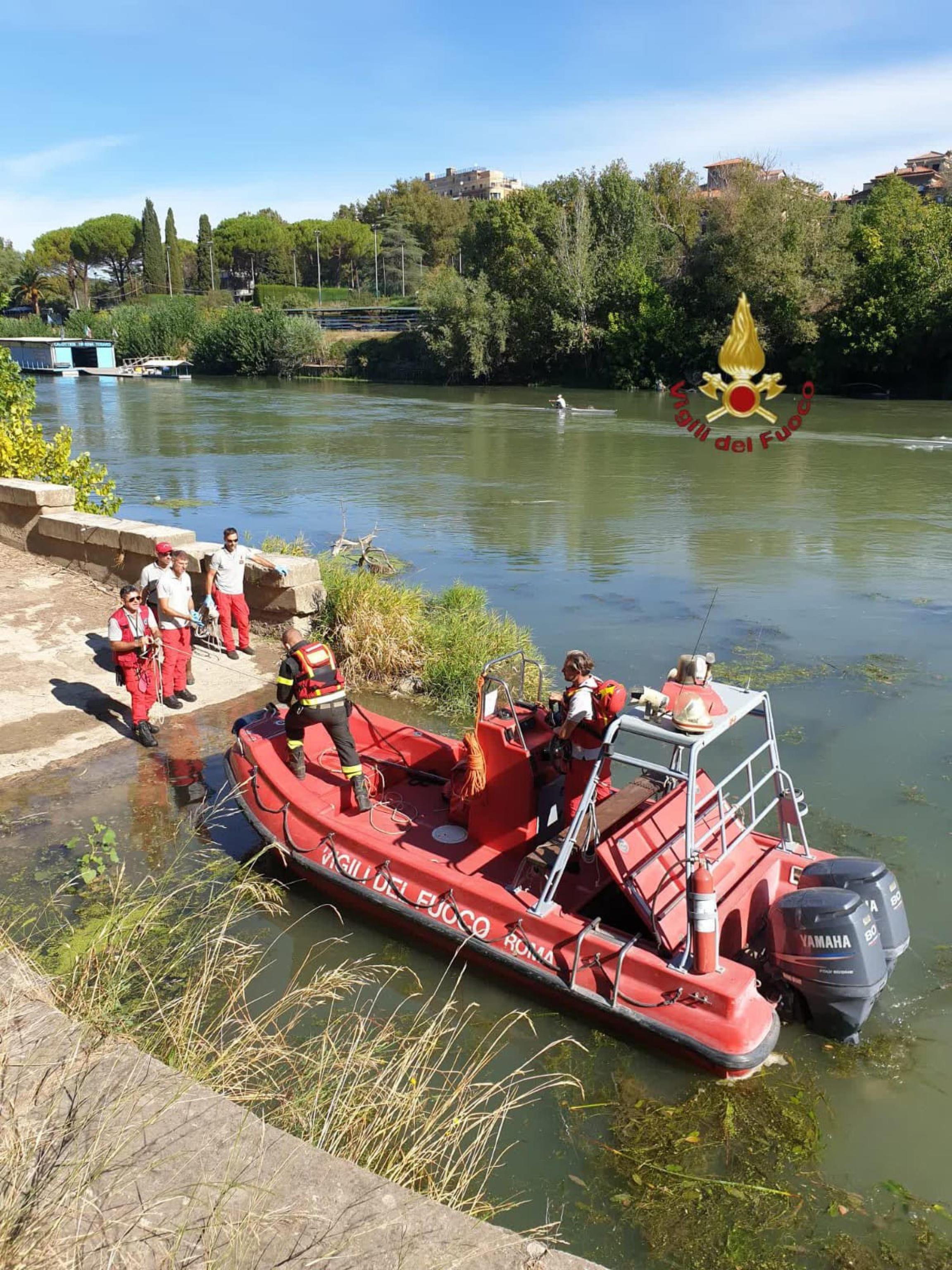 Mucca Gettata Nel Tevere Ritrovata Una Carcassa Chiusa In Un Sacco 