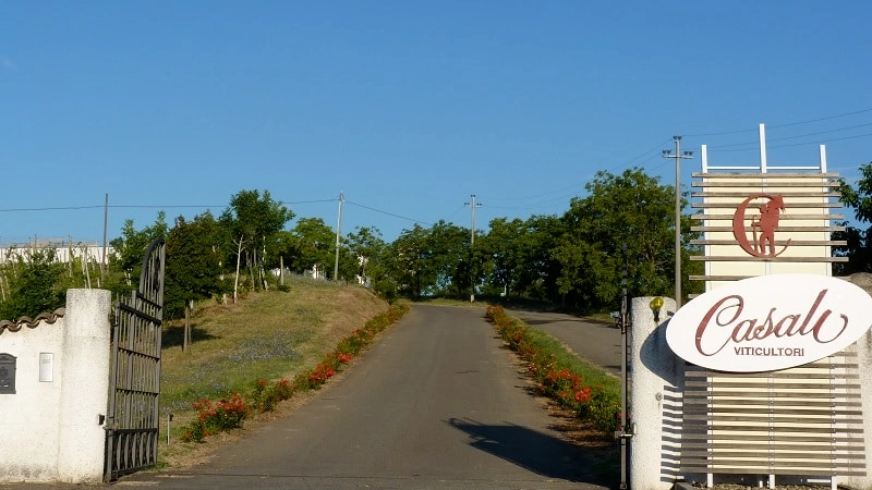 Casali Viticultori azienda