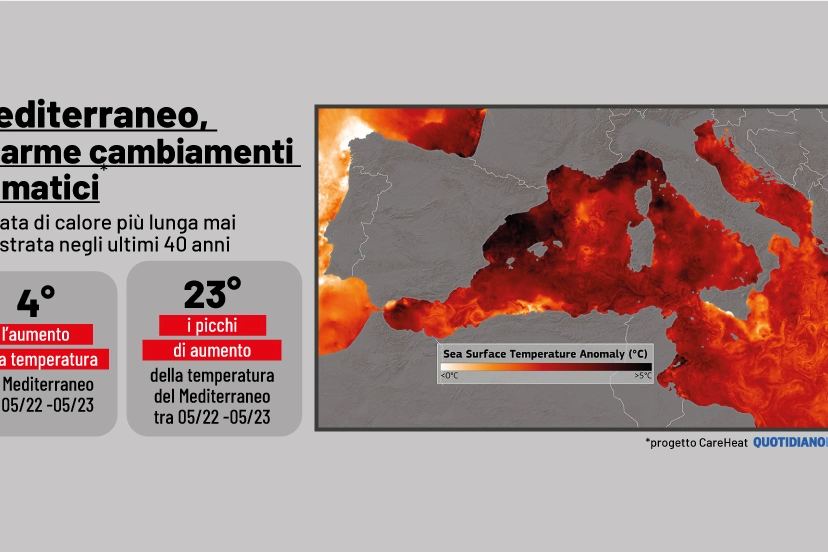 Mediterraneo e temperatura dell'acqua: il nuovo allarme dalla ricerca CareHeat