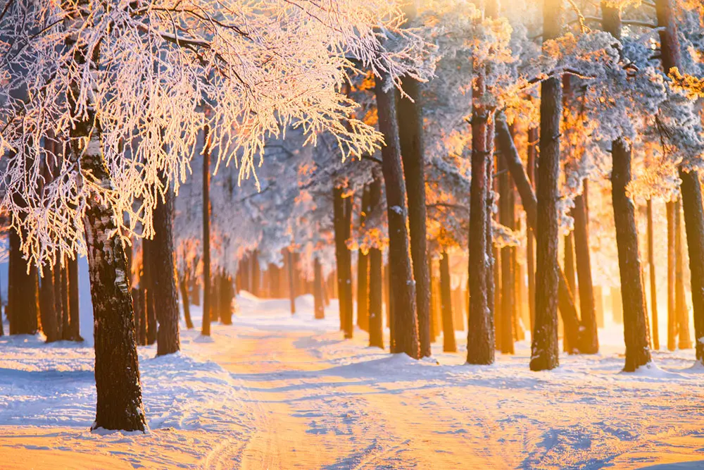 Solstizio d'inverno 2020: perché cade il 21 dicembre e lo scorso anno era il 22