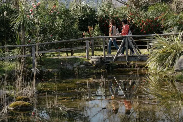 Camelie Locarno, torna la più grande esposizione europea dedicata al fiore di primavera