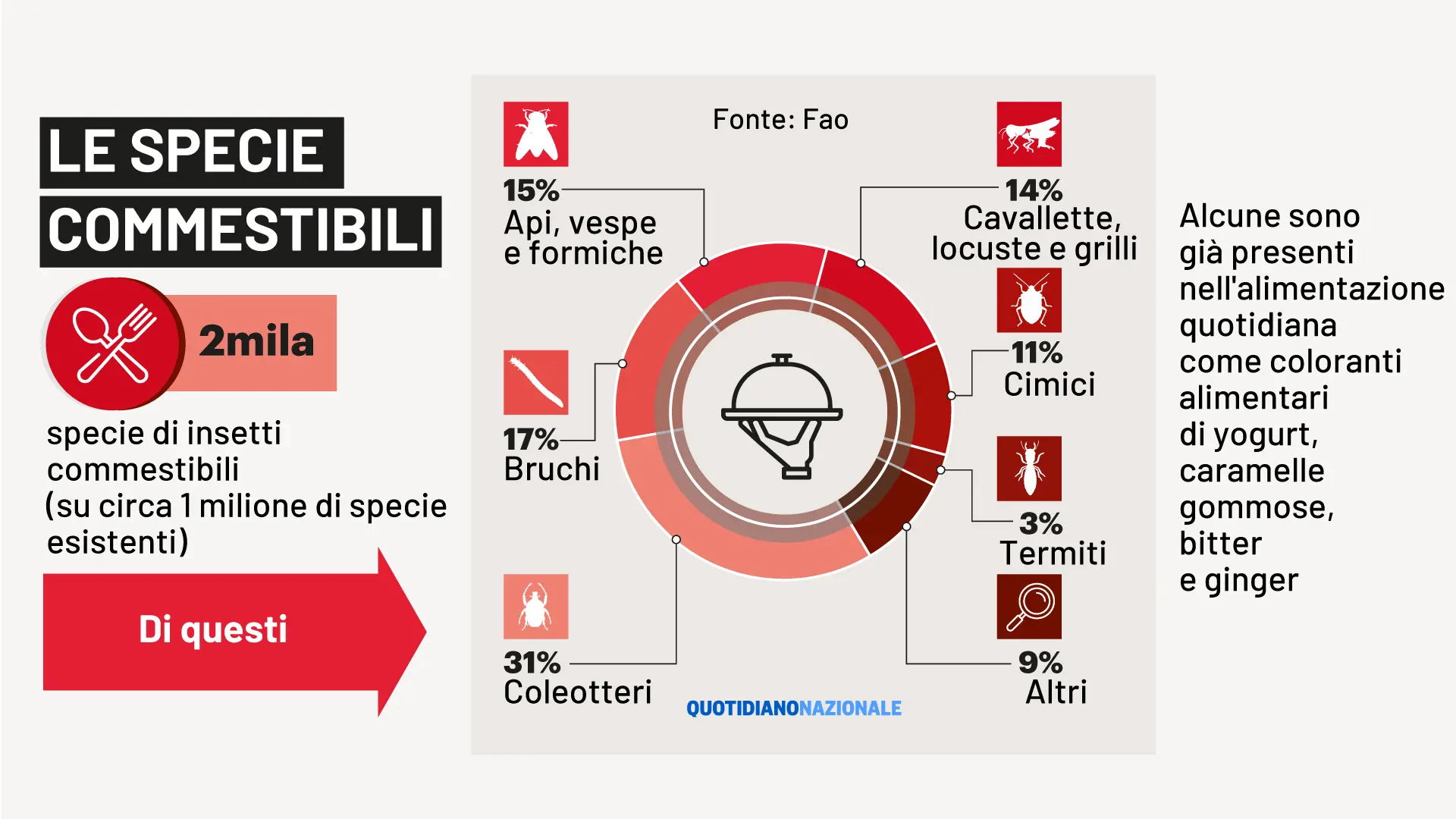 Insetti nel cibo: dallo yogurt al bitter ne mangiamo già tanti (ma non lo  sappiamo)