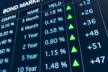 Titoli di Stato italiani: cosa sono e rendimenti. Come fare investimenti: ecco una guida