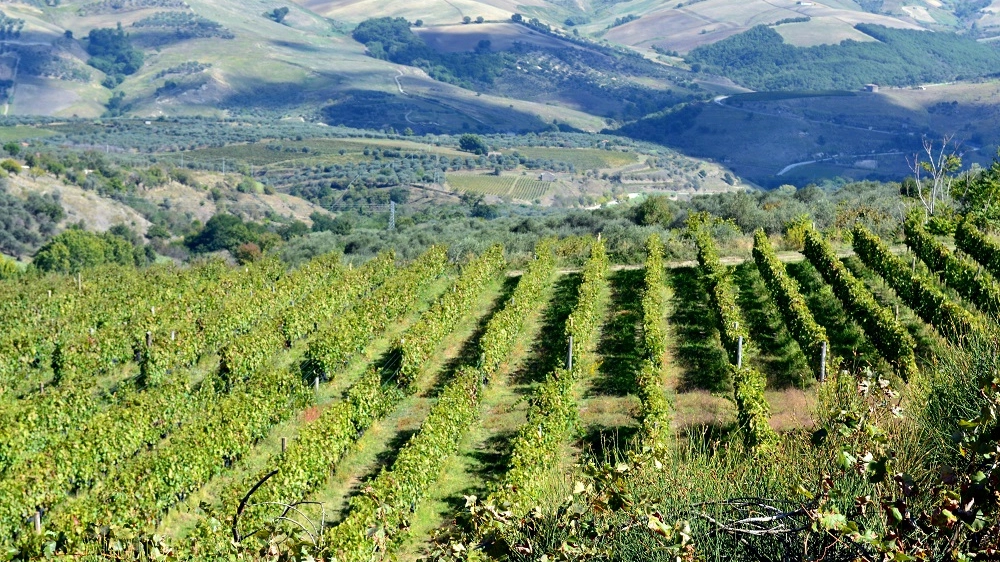 Sotto il Vulture l'anima autentica della Basilicata