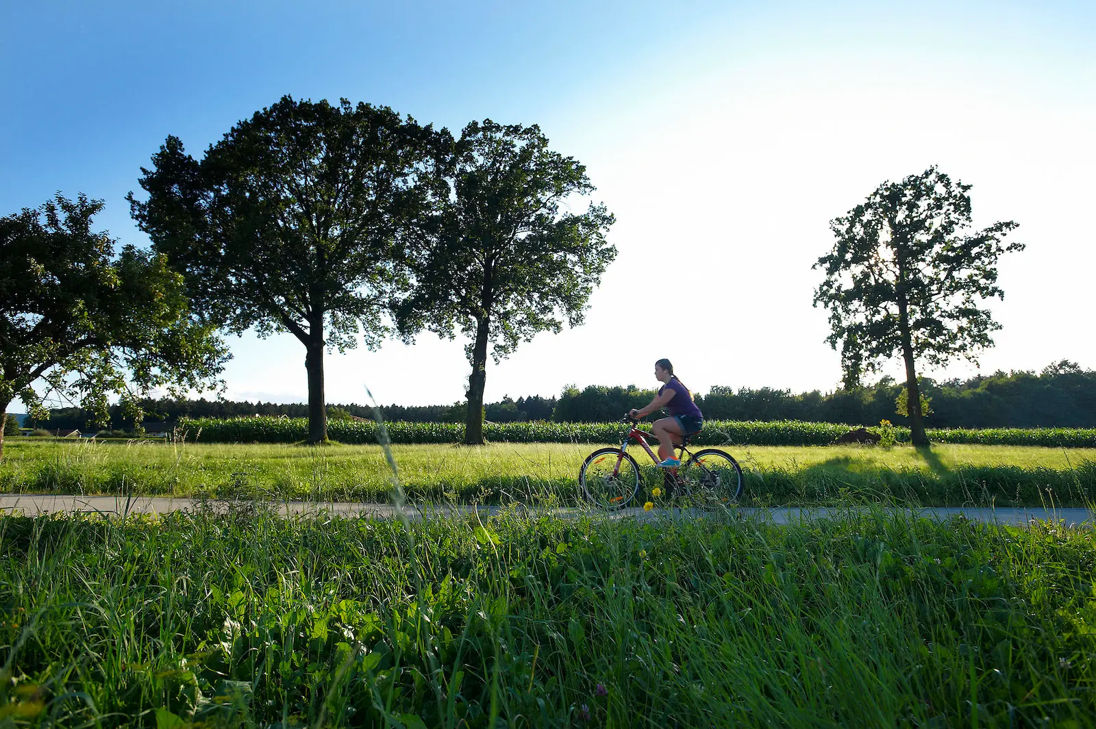 Slovenia, in bicicletta con gusto sulla Green Gourmet Route