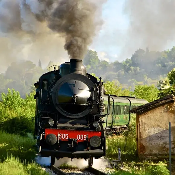 Toscana, novembre alla corte del re Tartufo con il Treno Natura