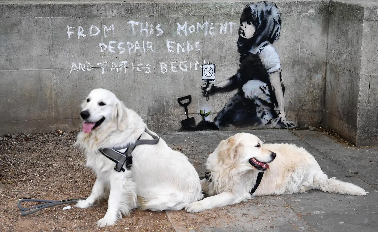 Banksy, a Londra un nuovo murales a favore di Extinction Rebellion