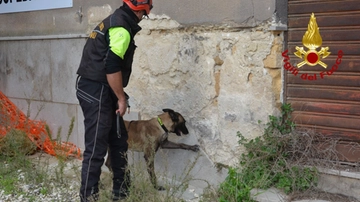 Aika, il cane dei vigili del fuoco addestrato a fiutare benzina e gasolio. “Impiegato dopo l’incendio all’aeroporto di Catania, ecco perché”