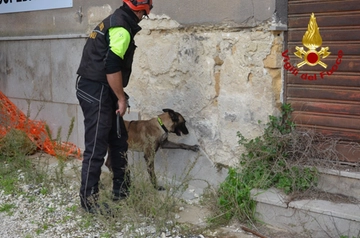 Aika, il cane dei vigili del fuoco addestrato a fiutare benzina e gasolio. “Impiegato dopo l’incendio all’aeroporto di Catania, ecco perché”