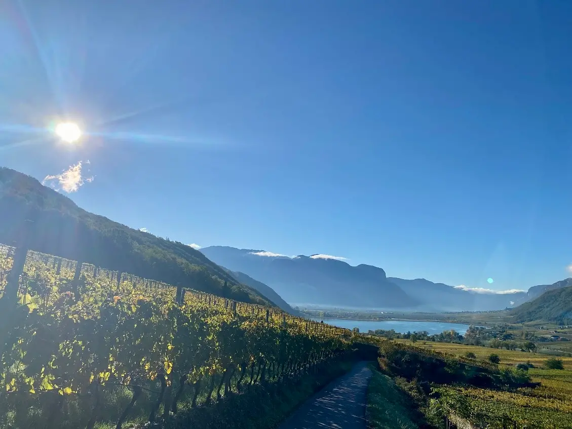 Vini Erste+Neue, l'essenza del lago di Caldaro nel bicchiere