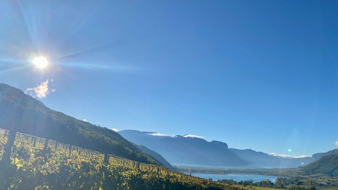 Vini Erste+Neue, l'essenza del lago di Caldaro nel bicchiere