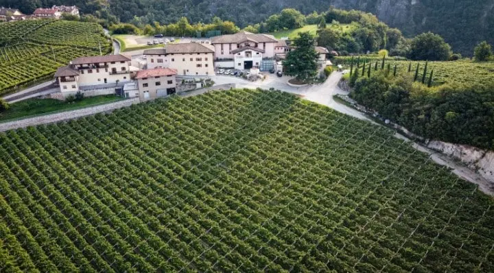 Dalla maglia rosa al Sauvignon Blanc, l'ultimo nato della famiglia Moser