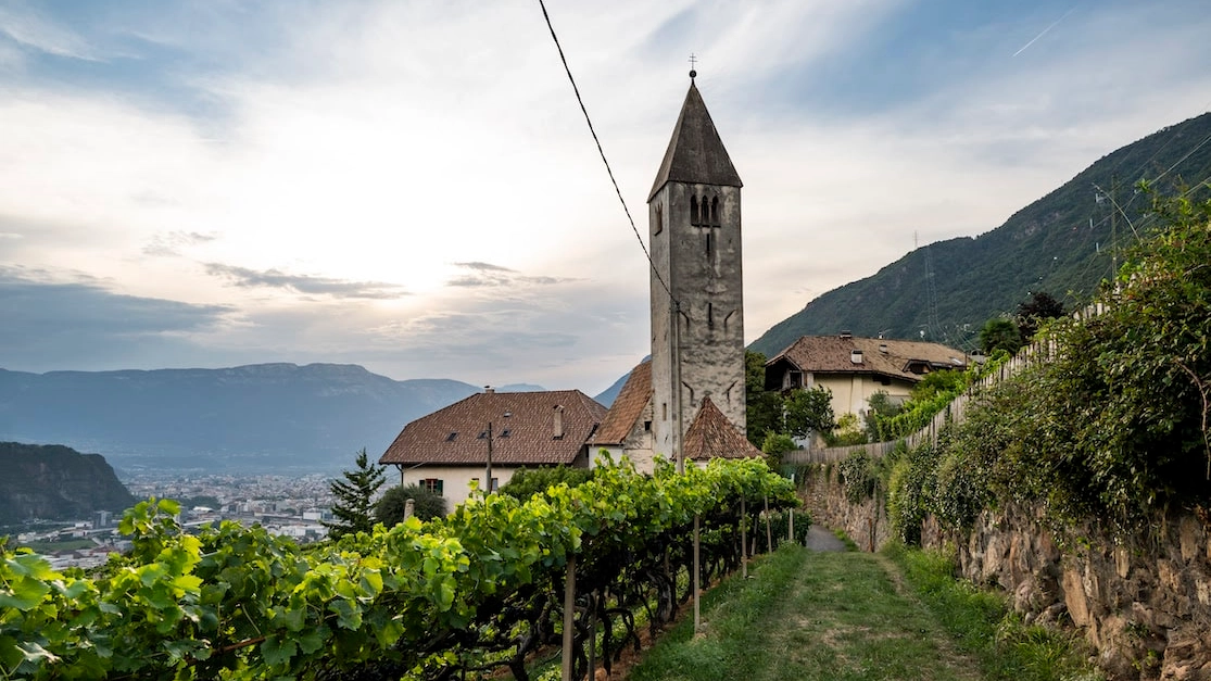 Törggelen, ottobre di festa in Alto Adige nel segno del vino: gli appuntamenti a Bolzano e sul Renon