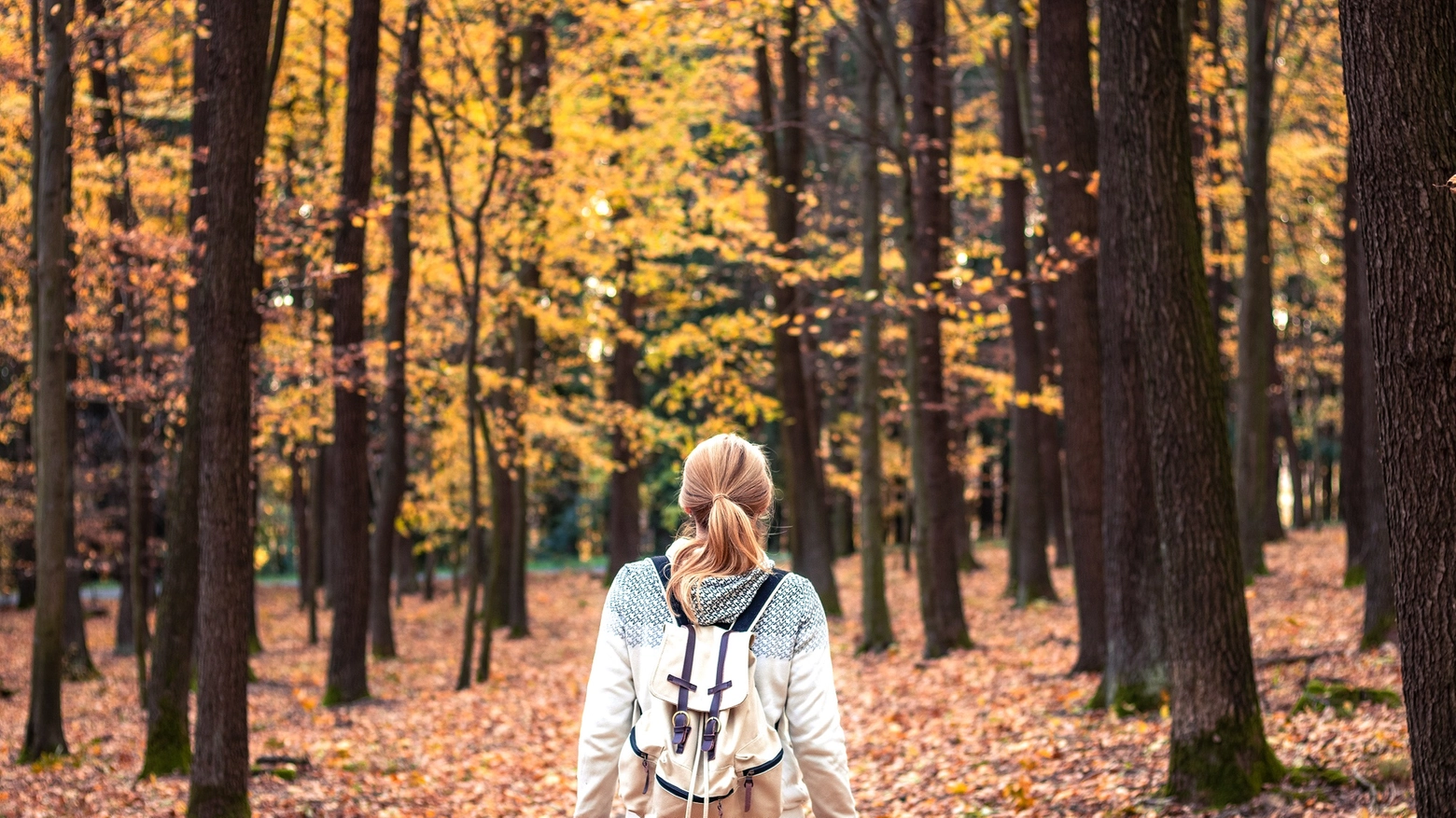 Passeggiare nel bosco fa passare lo stress