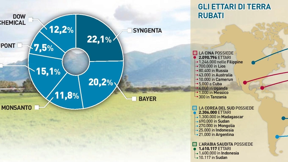 Gli ettari di terra rubati