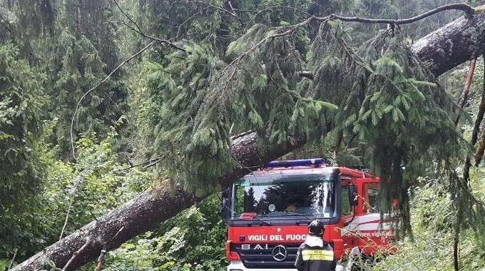 Allerta Protezione civile per temporali