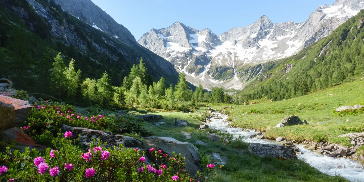 Carinzia: in bici, in barca o a piedi per una vacanza nella natura