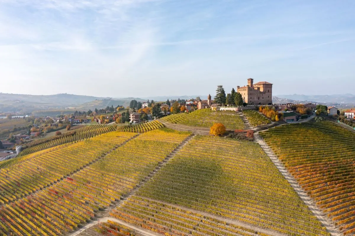 Riapre il Castello di Grinzane Cavour: rinnovata la Sala del tartufo bianco d'Alba