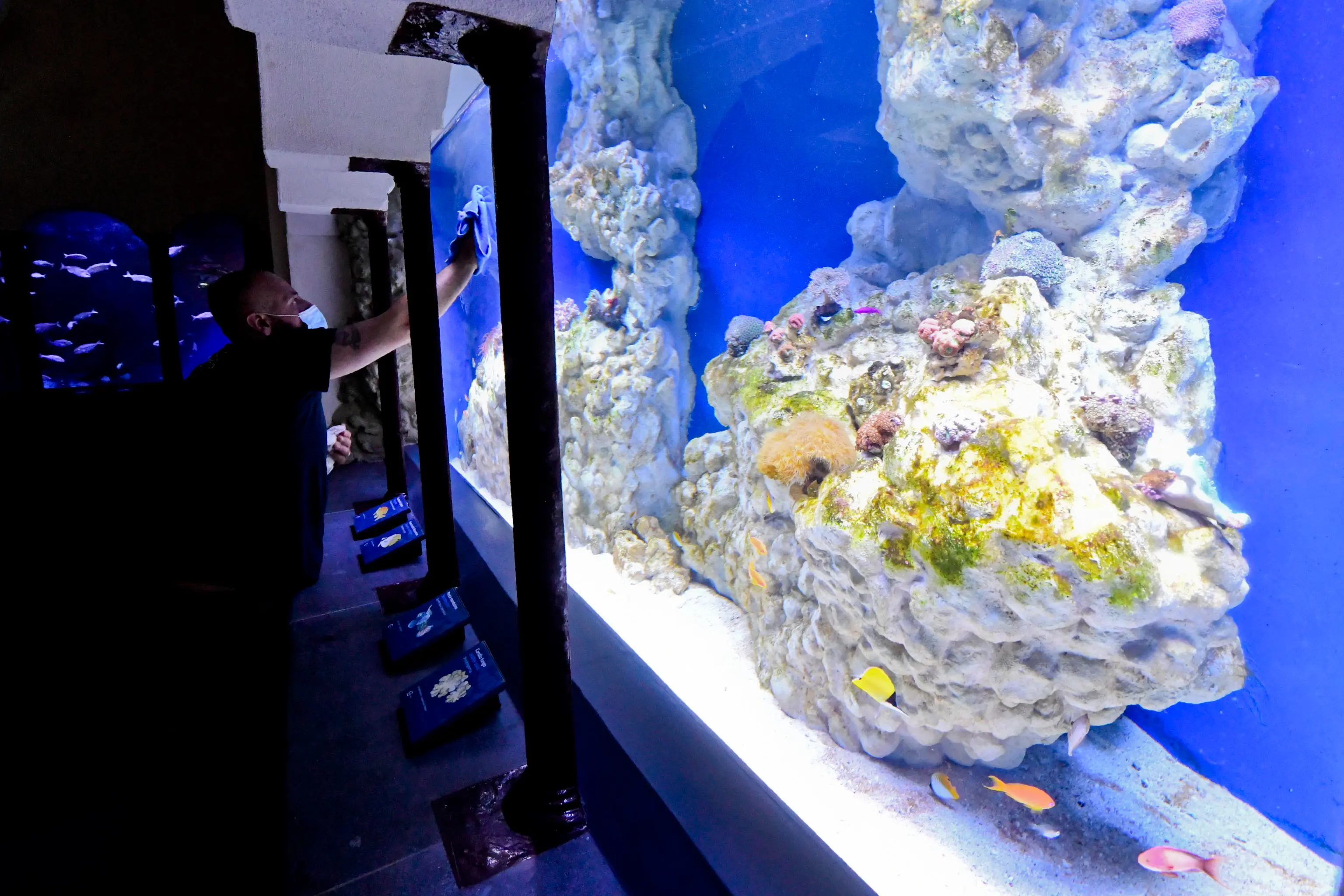 Napoli, acquario Dohrn si rifà il look: grande successo alla riapertura