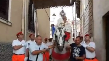 Il vescovo Domanico Caliandro in processione a Brindisi è caduto da cavallo (da facebook)