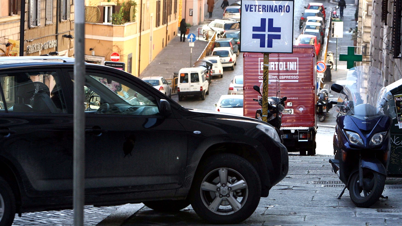 Parcheggio selvaggio: in arrivo la stretta