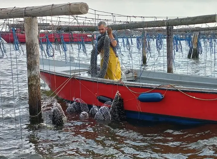 Un giorno da pescatore di cozze: il turismo lento sul Delta del Po