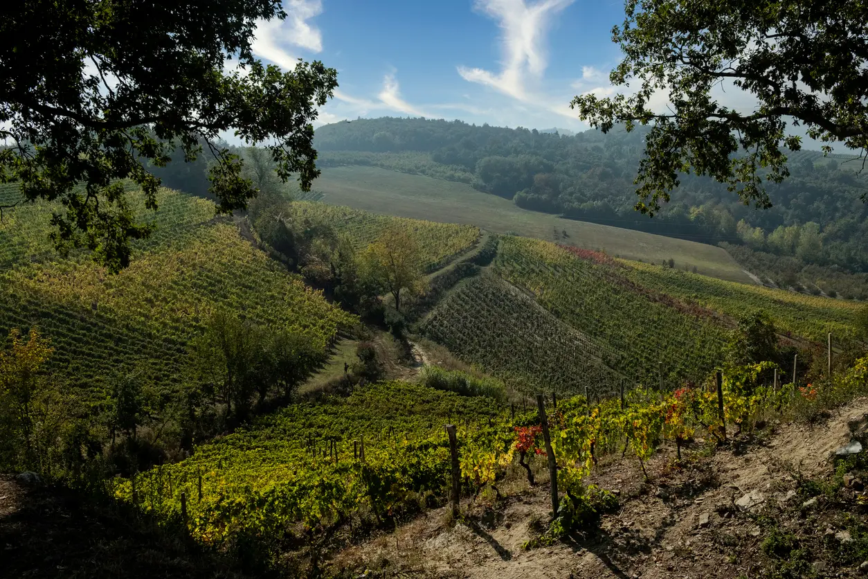 Alta Langa, sapori e saperi nel Piemonte di confine