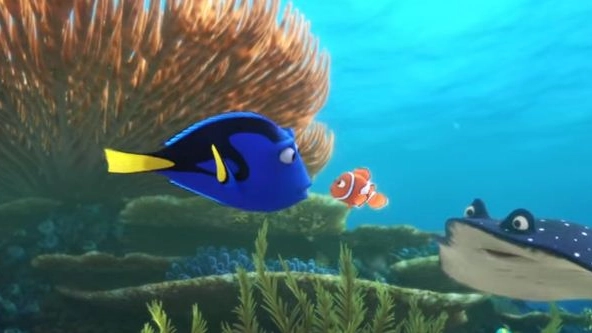 Alla Ricerca di Dory 