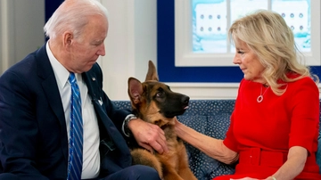 La storia di Commander, il cane di Biden che ha morso uomini dei servizi segreti in 24 occasioni