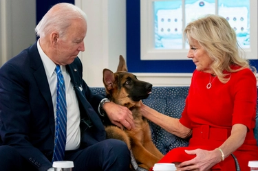 La storia di Commander, il cane di Biden che ha morso uomini dei servizi segreti in 24 occasioni
