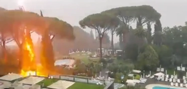 Maltempo a Roma, il fulmine cade e incendia l'albero: le immagini sui social