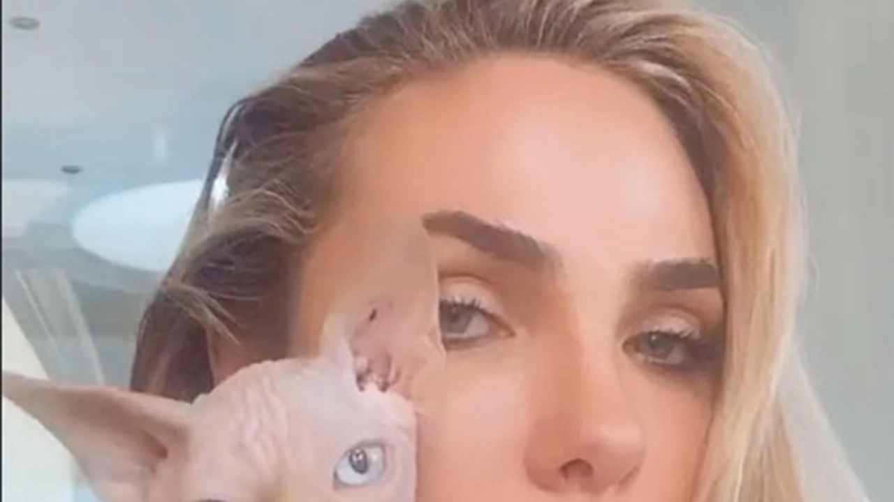 Ilary Blasi con il gatto Alfio