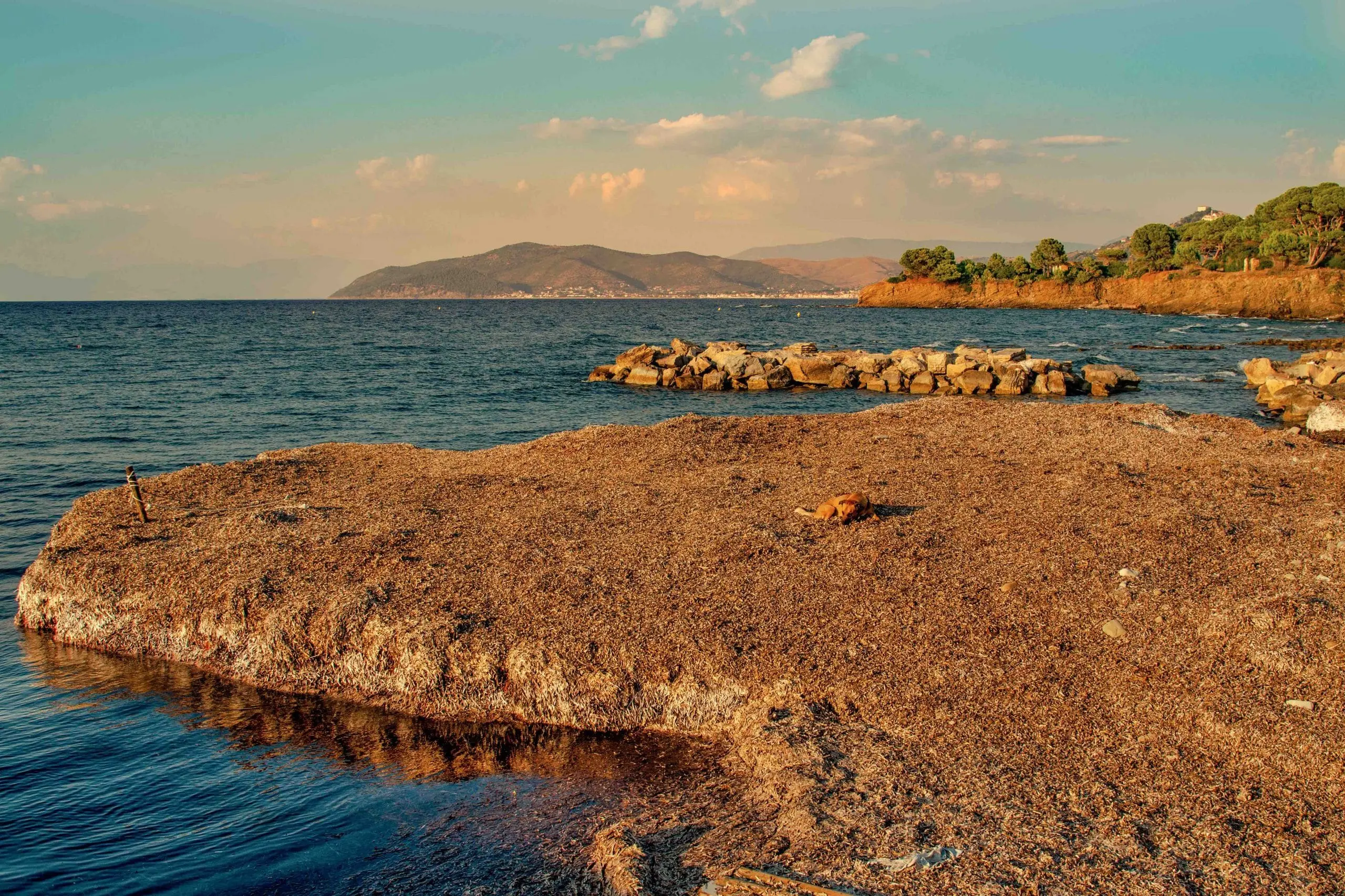 Il Canto delle sirene e i miti del Cilento