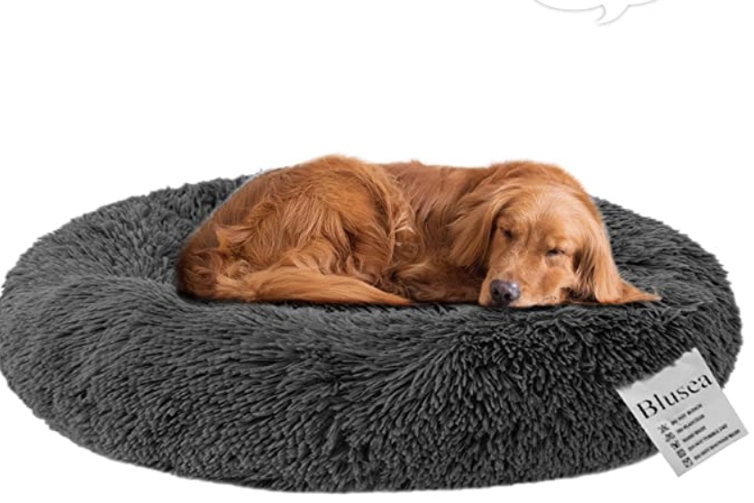 Blusea Cuccia per Gatti Letto per Cani  su amazon.it