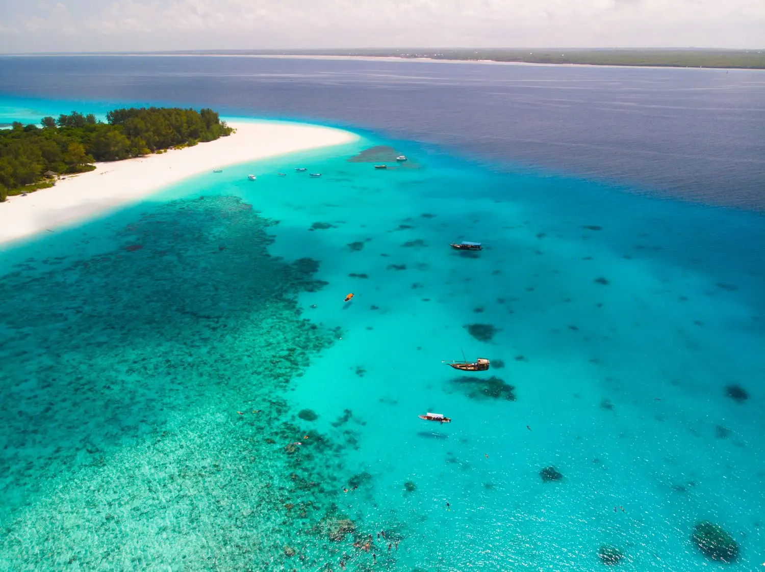 Zanzibar, emozioni a fior d’acqua: dove puoi nuotare con delfini e tartarughe