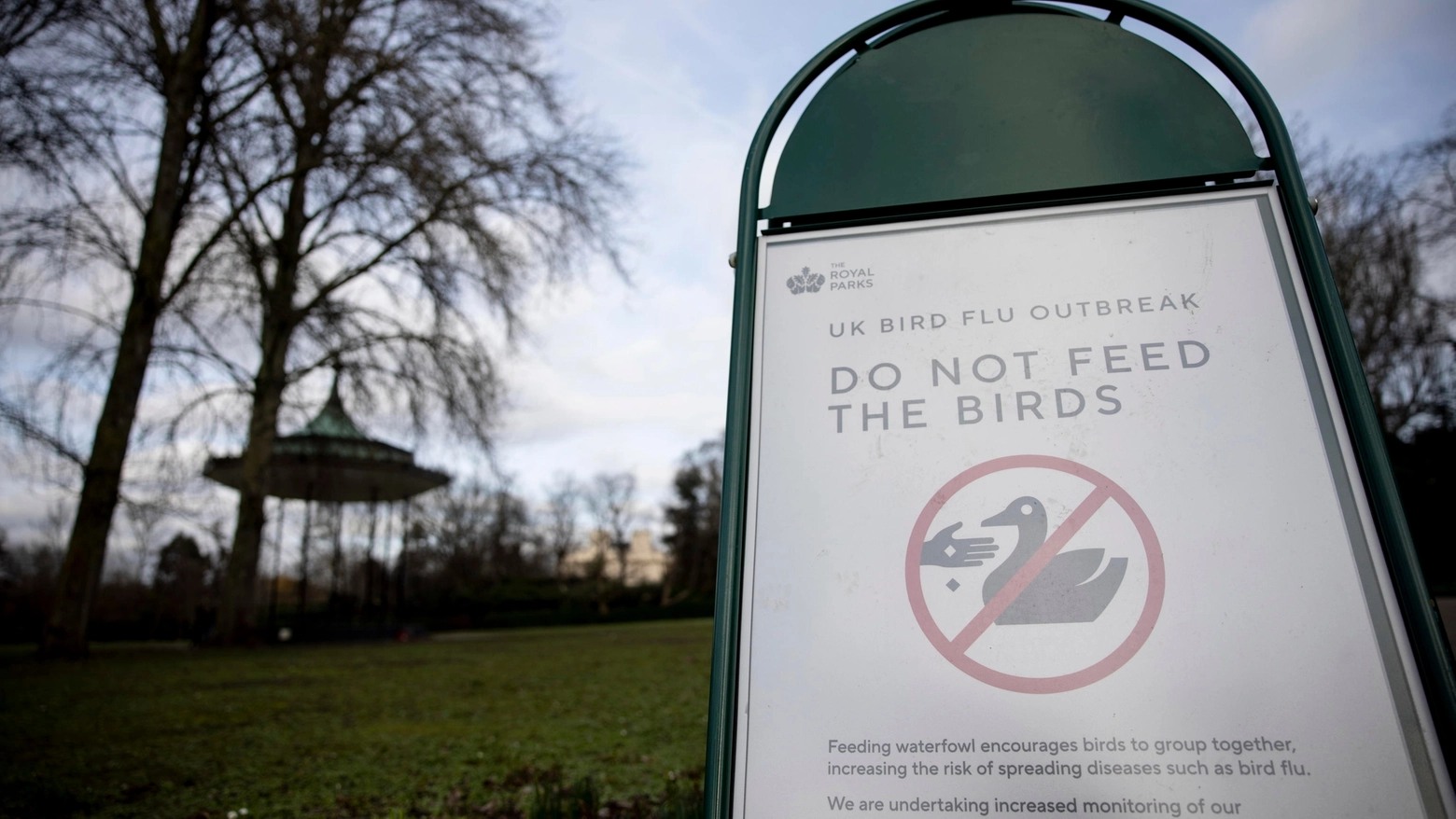 Un cartello in un parco della Gran Bretagna invita a non dare da mangiare agli uccelli