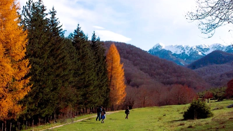 Parco nazionale d'Abruzzo, foliage in Val Fondillo (foto di: Pasqualino Leone, Archivio PNALM)