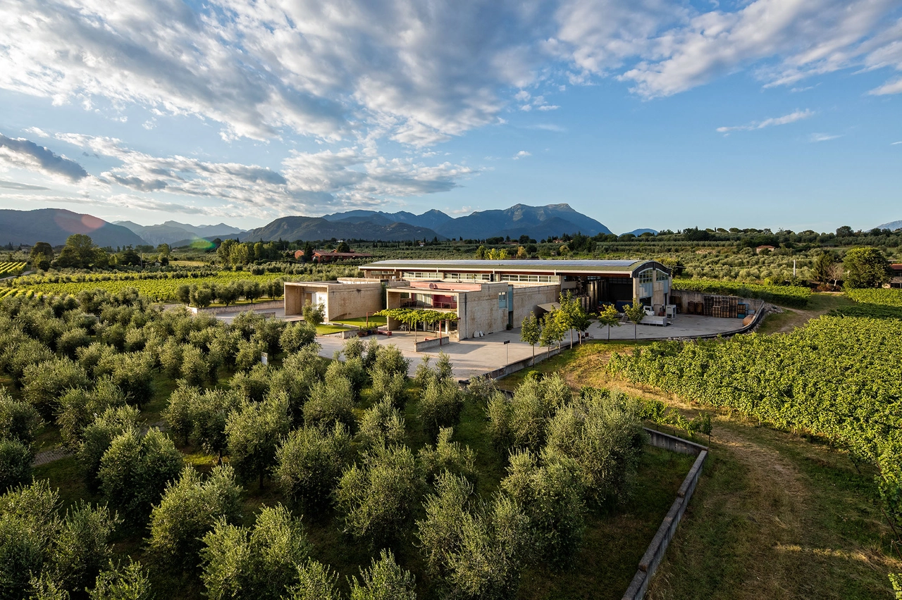 Vigne e cantina Pasini San Giovanni