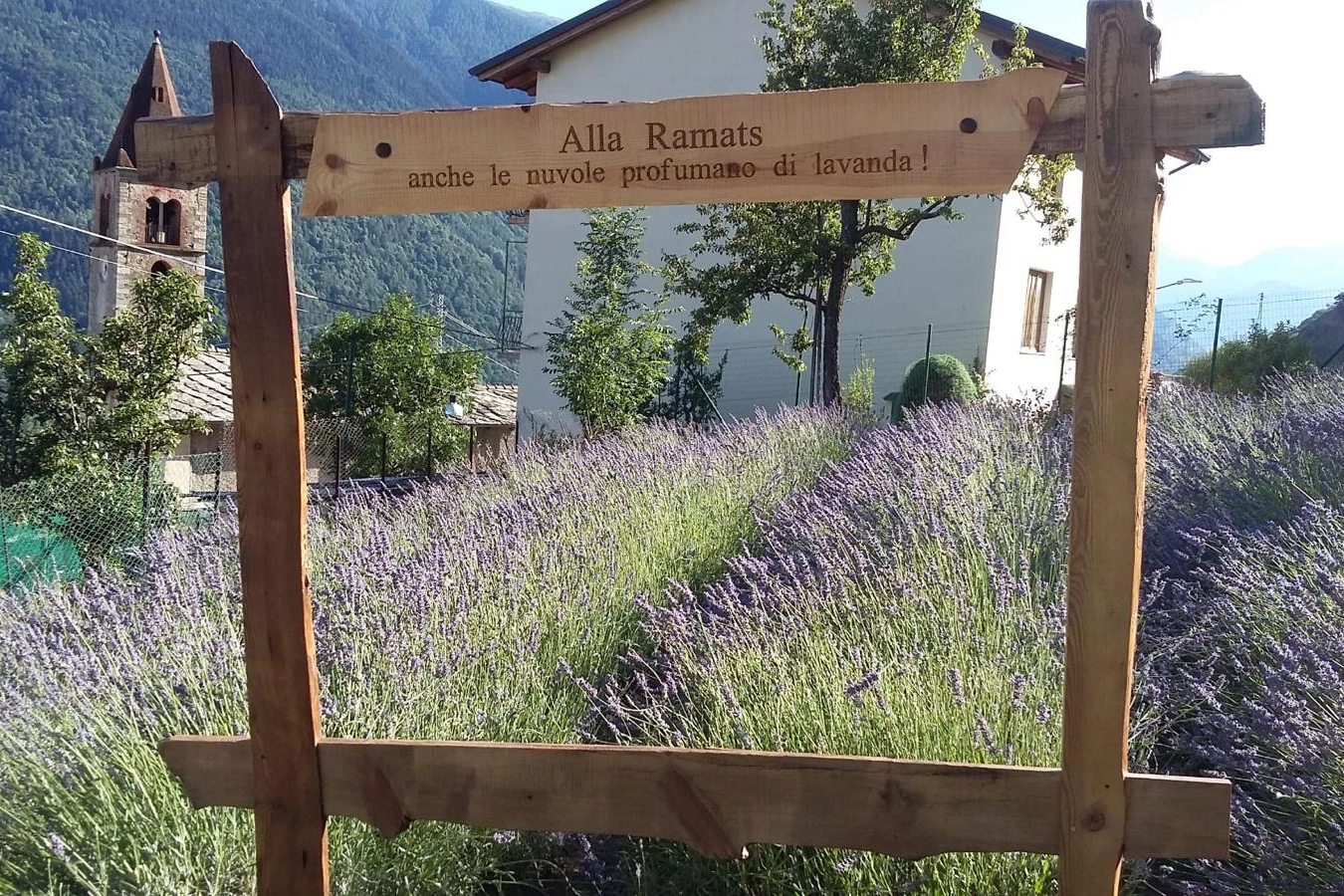 Ramats (Chiomonte), ospita la festa della lavanda