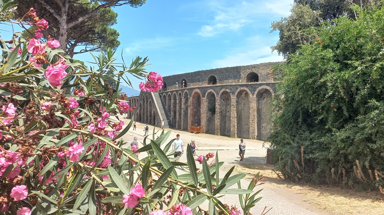 Dopo la visita nella città rimasta sepolta per secoli sotto la cenere, non resta che assaggiare i vini dei vigneti antichi che crescono sulle pendici del vulcano, la pizza e i piatti gourmet preparti per i turisti che vengono da ogni parte del mondo