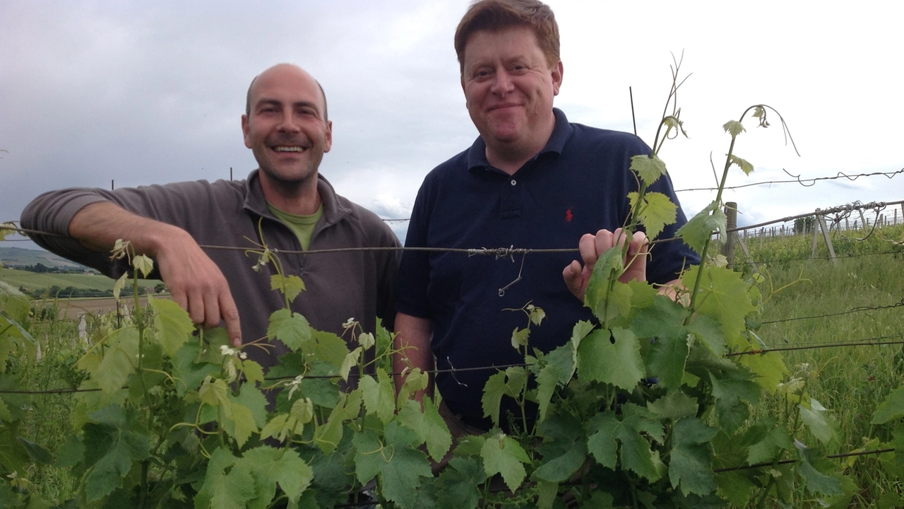 La cantina nata 20 anni fa su iniziativa del franciacortino Silvano Brescianini, vendemmia dopo vendemmia è diventata una realtà di alto profilo. E il Castelli di Jesi Verdicchio San Paolo ‘19 è Bianco dell’Anno del Gambero Rosso